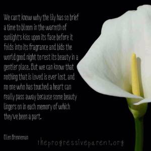 1622704_613325405382215_778089836_n